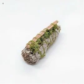 Atado Salvia Blanca Palaris y Madera de las Montañas Rocosas incienso natural orgánico