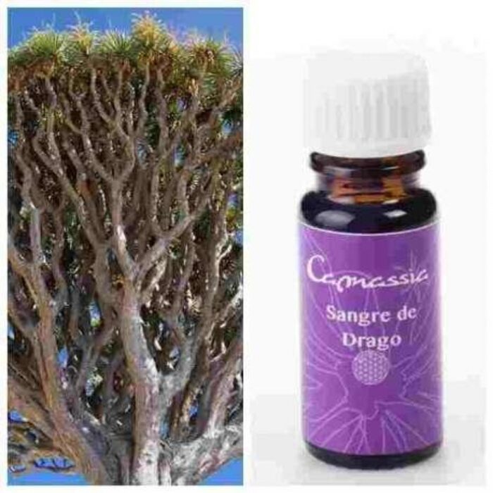 Sangre de Drago (Sangre de Grado) - Cantidad : 10ml