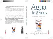 Portada del libro Agua de Gemas de Michelle Gienger sobre cristales y minerales curativos