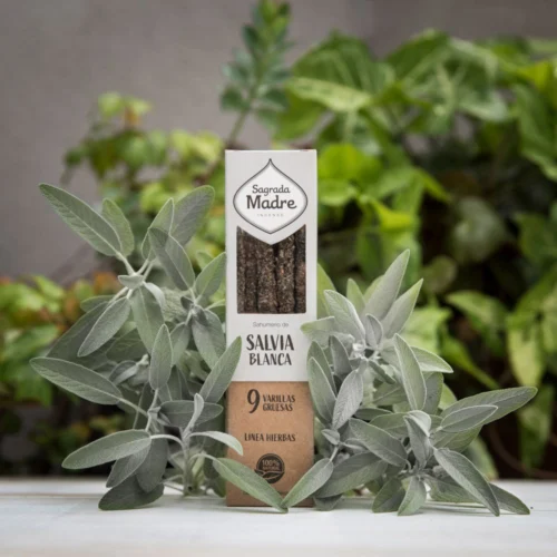 Varillas de incienso Sagrada Madre Salvia Blanca orgánica natural para rituales