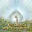 El Oraculo de las Piedras Ancestrales Rebecca Campbell