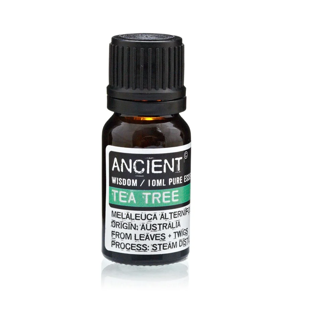 Abedul Blanco 8 Aceite esencial árbol de té Anscient Wisdom en botella de vidrio oscuro con etiqueta clara