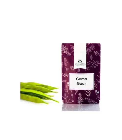 Bolsa de goma guar 250gr de Esencia Nativa sobre fondo neutro